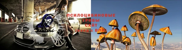 apvp Мегион