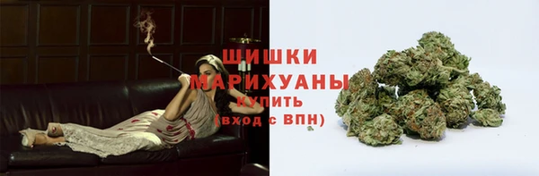 apvp Мегион
